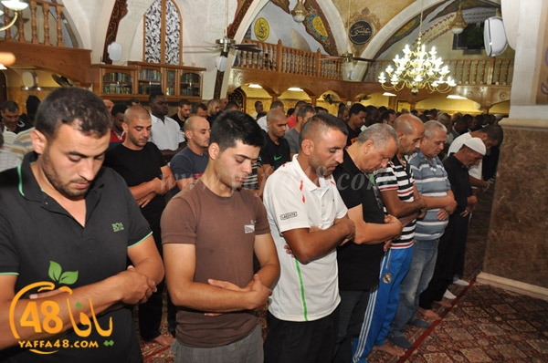 kaber yaffa js (8).JPG